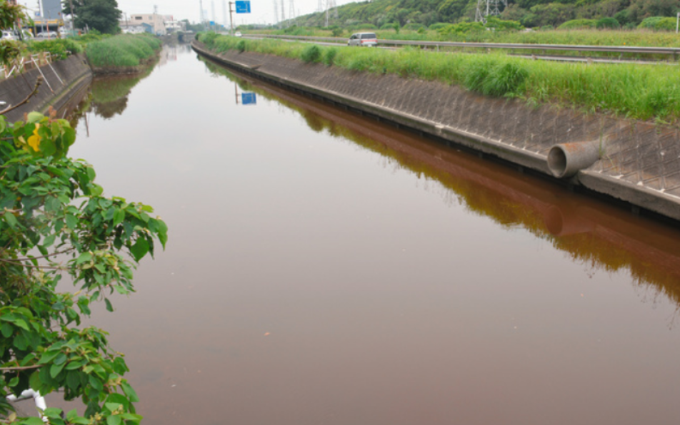 河水遭到硫液污染