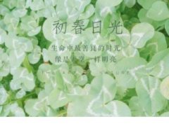 好听的爱情句子8个字