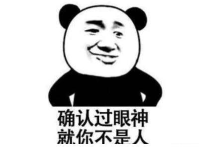 白痴可以当你的老师