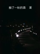 何寻张涛（魂归夜寂）免费阅读无弹窗_魂归夜寂何寻张涛全文免费阅读无弹窗