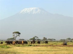 主角为萧廷宴云鸾的小说-小说盛妆山河（萧廷宴云鸾）全文完整版最新阅读