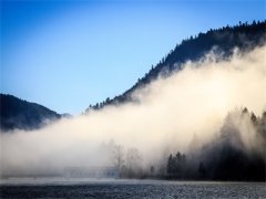 热门小说心底玫瑰（沉鹿沈泊行）精选章节阅读-耽美文心底玫瑰沉鹿沈泊行