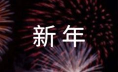 【必备】过新年作文15篇