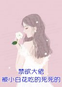 仙帝归来成了赘婿奶爸(叶龙阳龙阳)完本小说大全_最新全本小说仙帝归来成了赘